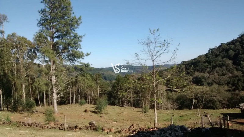 Belíssimo Sítio a 9km do Centro de Canela/RS!: 7ª foto da galeria de imagens do imóvel