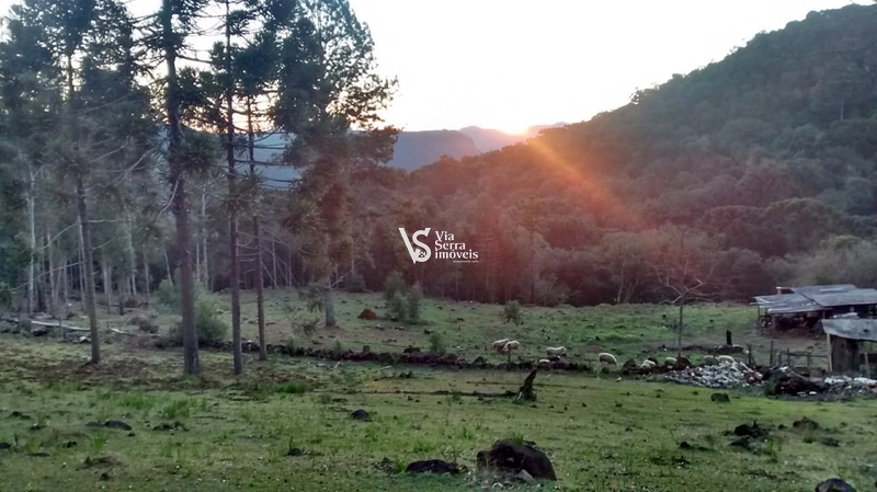 Belíssimo Sítio a 9km do Centro de Canela/RS!: 4ª foto da galeria de imagens do imóvel