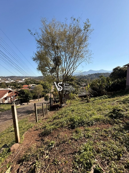 Terreno em Igrejinha: 3ª foto da galeria de imagens do imóvel