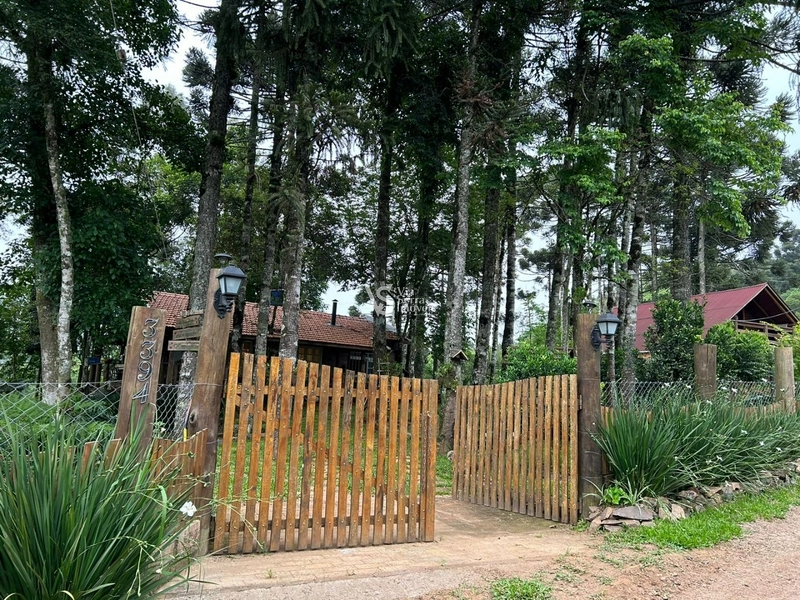 Sítio à venda, na Serra Grande, em Igrejinha/RS!: 1ª foto da galeria de imagens do imóvel