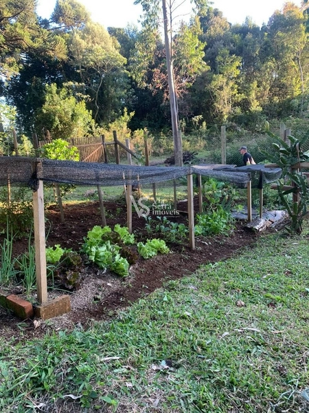 Sítio à venda, na Serra Grande, em Igrejinha/RS!: 28ª foto da galeria de imagens do imóvel