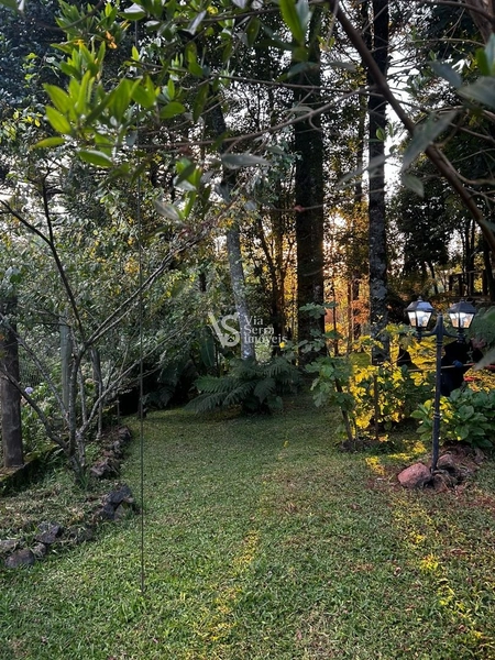 Sítio à venda, na Serra Grande, em Igrejinha/RS!: 20ª foto da galeria de imagens do imóvel