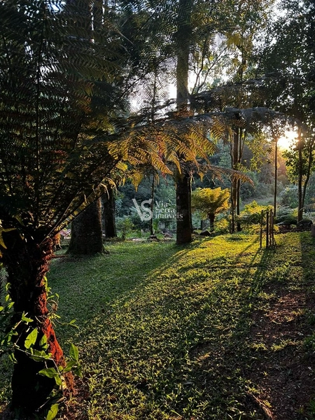 Sítio à venda, na Serra Grande, em Igrejinha/RS!: 25ª foto da galeria de imagens do imóvel