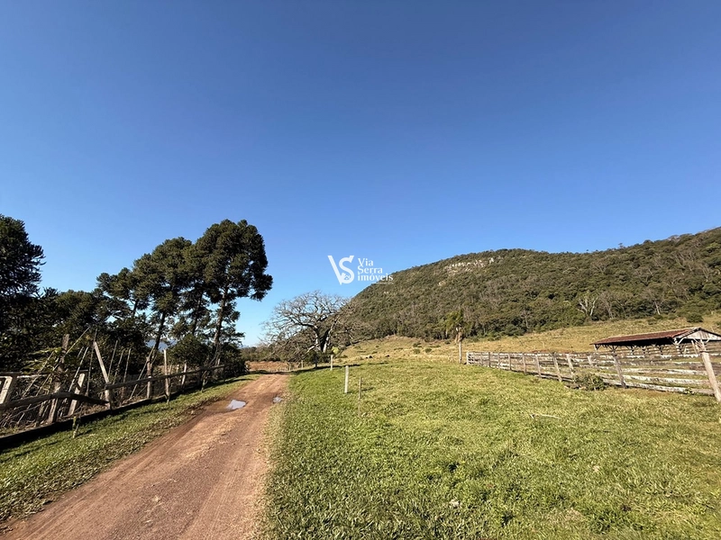 Mais de 21 hectares à venda em Linha 28 - Três Coroas: 19ª foto da galeria de imagens do imóvel