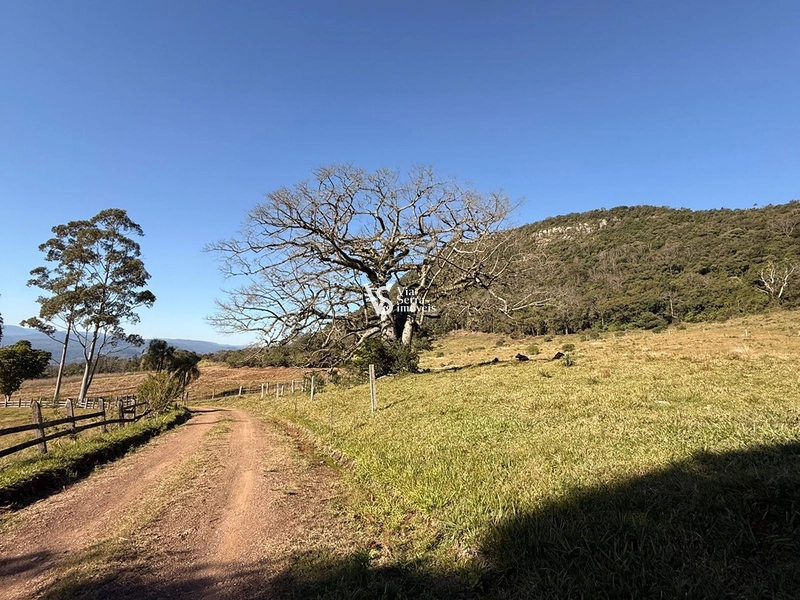 Mais de 21 hectares à venda em Linha 28 - Três Coroas: 13ª foto da galeria de imagens do imóvel