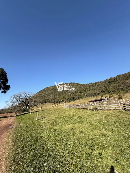 Mais de 21 hectares à venda em Linha 28 - Três Coroas: 16ª foto da galeria de imagens do imóvel