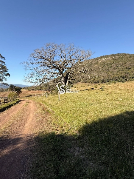 Mais de 21 hectares à venda em Linha 28 - Três Coroas: 18ª foto da galeria de imagens do imóvel