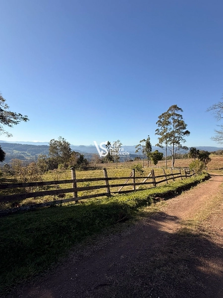 Mais de 21 hectares à venda em Linha 28 - Três Coroas: 11ª foto da galeria de imagens do imóvel