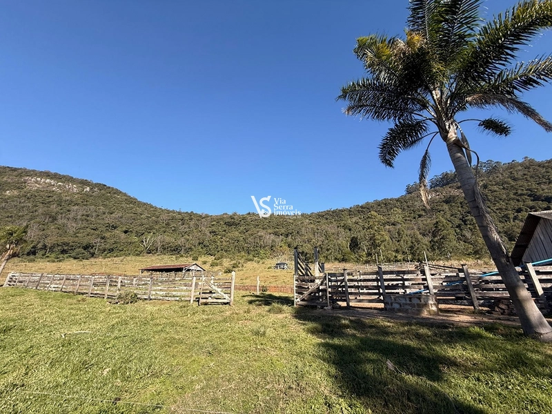 Mais de 21 hectares à venda em Linha 28 - Três Coroas: 20ª foto da galeria de imagens do imóvel