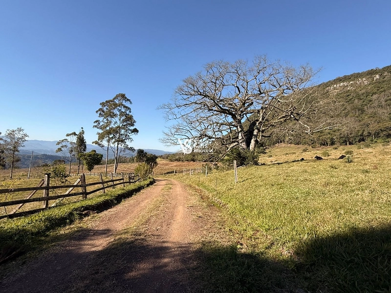 Mais de 21 hectares à venda em Linha 28 - Três Coroas: 14ª foto da galeria de imagens do imóvel