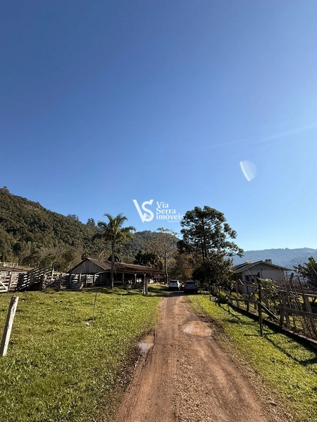 Mais de 21 hectares à venda em Linha 28 - Três Coroas: 6ª foto da galeria de imagens do imóvel