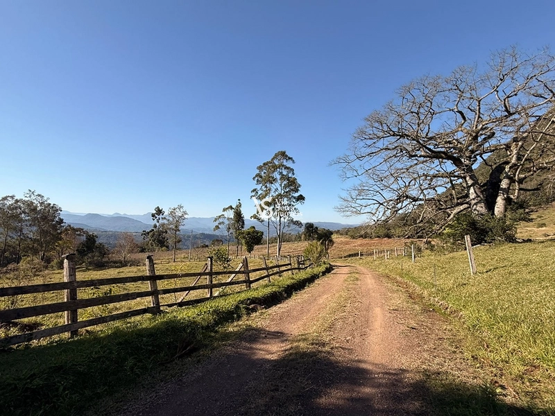 Mais de 21 hectares à venda em Linha 28 - Três Coroas: 15ª foto da galeria de imagens do imóvel