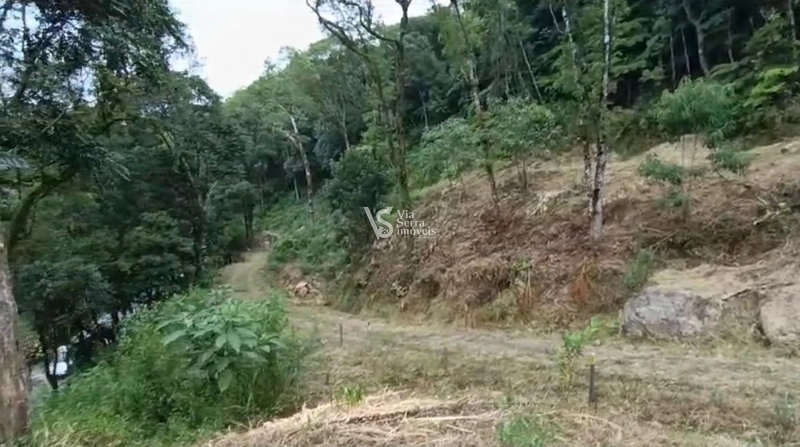 Area com 826 m² em Serra Grande/Igrejinha!: 7ª foto da galeria de imagens do imóvel