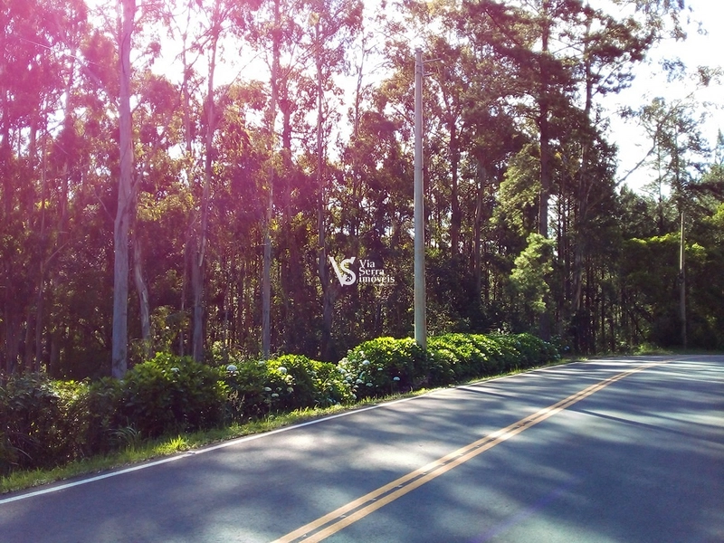 Terreno à venda em Gramado/RS!: 1ª foto da galeria de imagens do imóvel