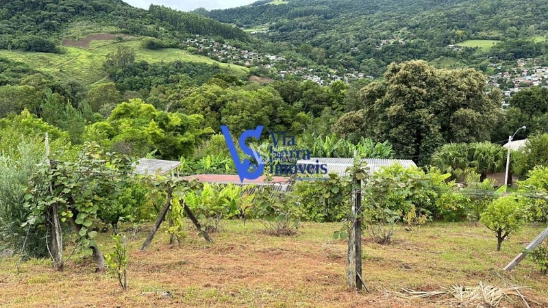 Sítio à venda, no bairro Viaduto, em Igrejinha/RS!: 4ª foto da galeria de imagens do imóvel