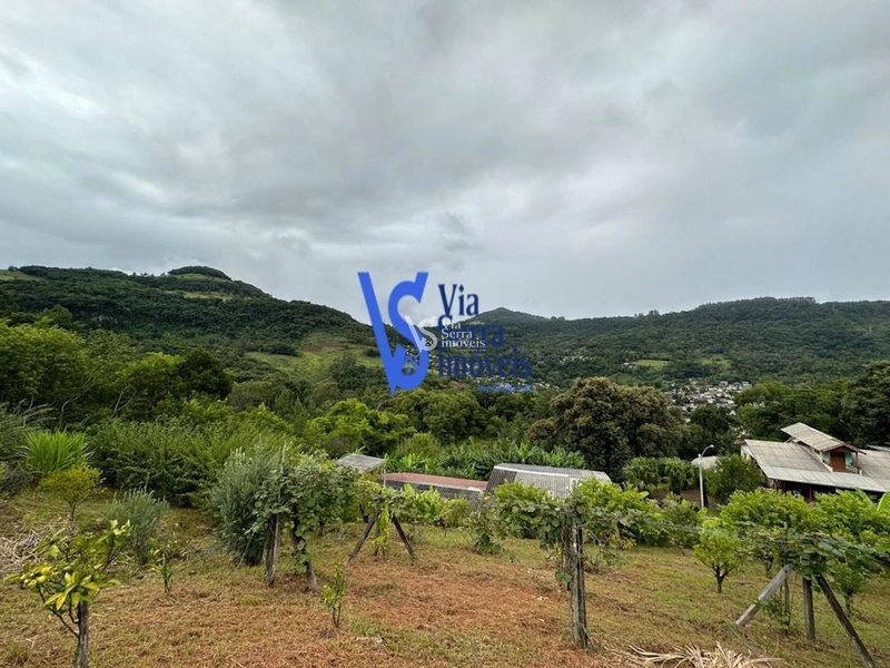 Sítio à venda, no bairro Viaduto, em Igrejinha/RS!: 5ª foto da galeria de imagens do imóvel