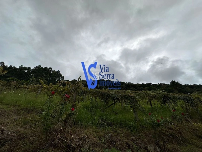 Sítio à venda, no bairro Viaduto, em Igrejinha/RS!: 9ª foto da galeria de imagens do imóvel