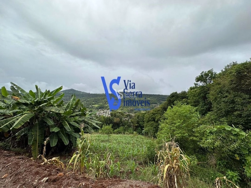Sítio à venda, no bairro Viaduto, em Igrejinha/RS!: 43ª foto da galeria de imagens do imóvel