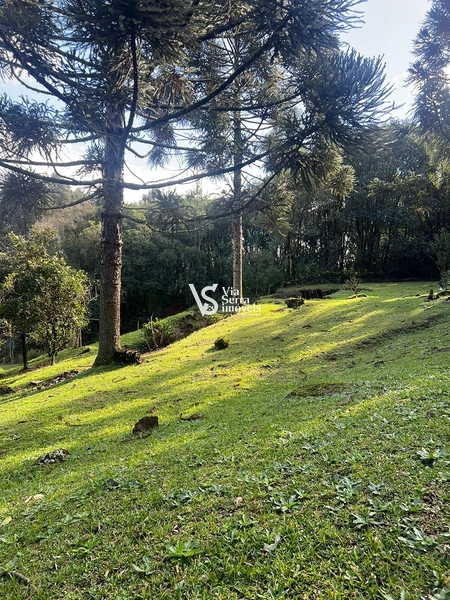 Terreno á venda em Gramado/RS: 17ª foto da galeria de imagens do imóvel