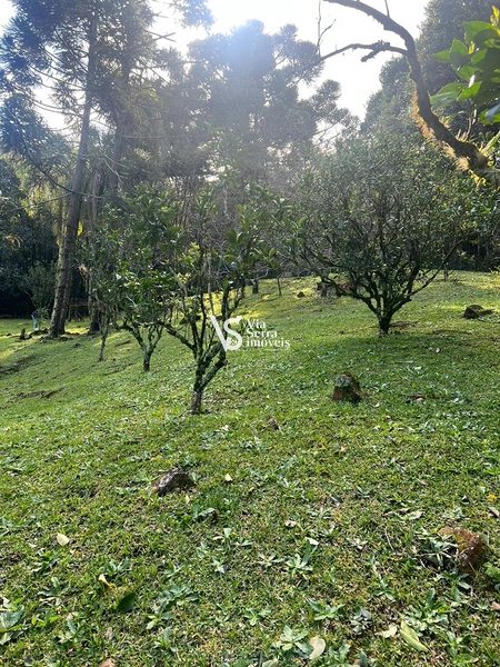 Terreno á venda em Gramado/RS: 2ª foto da galeria de imagens do imóvel