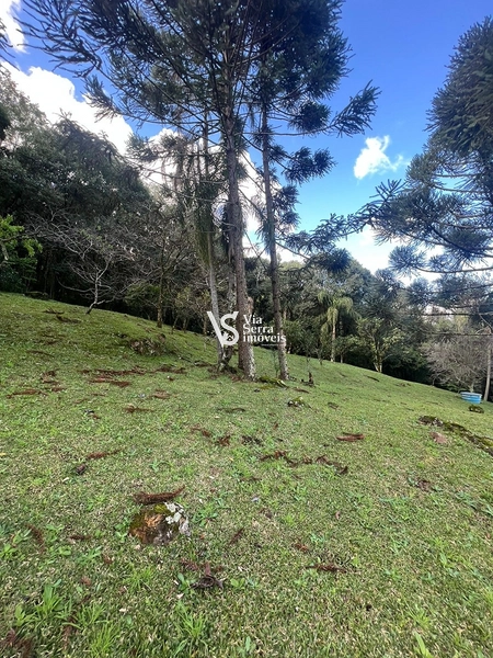 Terreno á venda em Gramado/RS: 3ª foto da galeria de imagens do imóvel