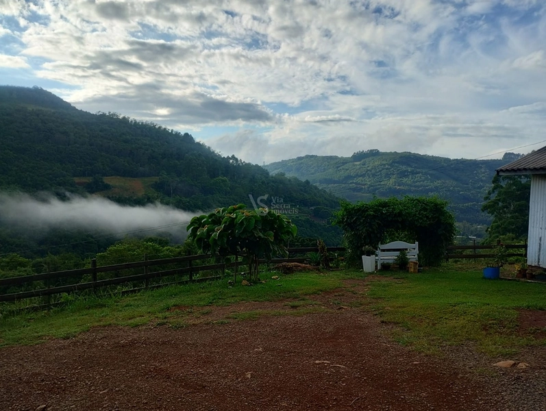 Sítio em Santa Maria do Herval/RS!: 1ª foto da galeria de imagens do imóvel