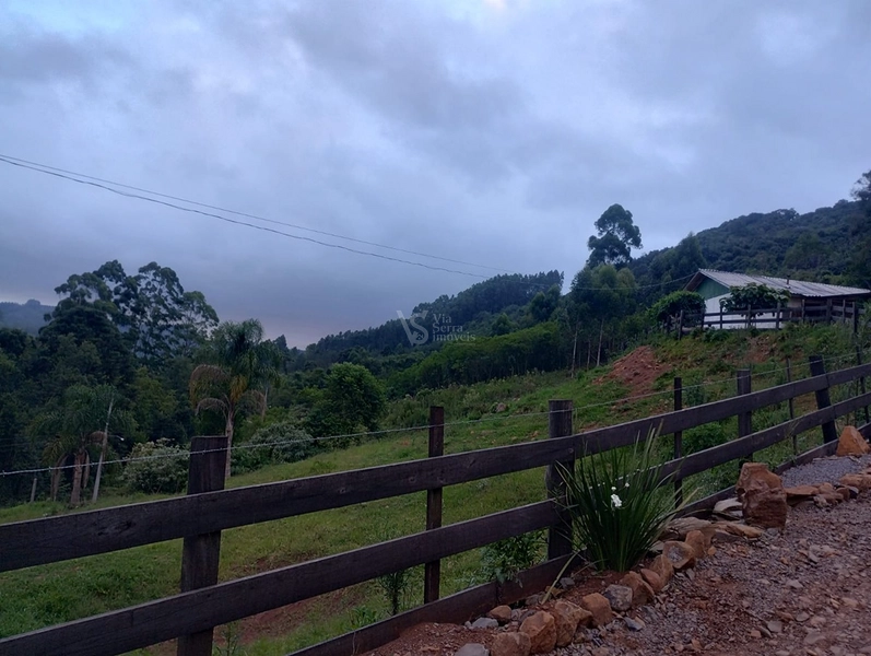 Sítio em Santa Maria do Herval/RS!: 9ª foto da galeria de imagens do imóvel