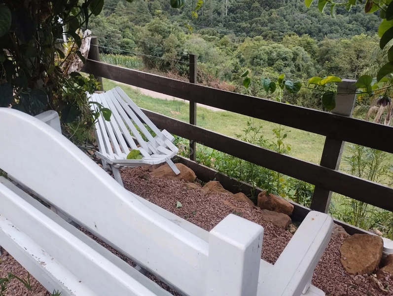 Sítio em Santa Maria do Herval/RS!: 8ª foto da galeria de imagens do imóvel