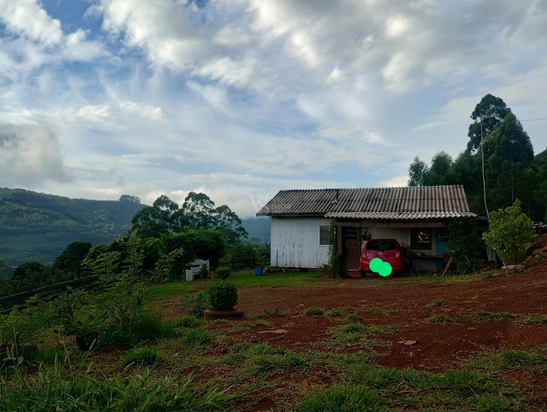 Sítio em Santa Maria do Herval/RS!: 6ª foto da galeria de imagens do imóvel