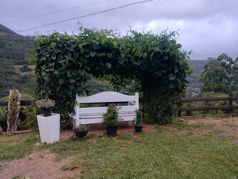 Sítio em Santa Maria do Herval/RS!: 10ª foto da galeria de imagens do imóvel