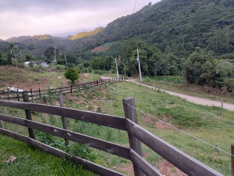 Sítio em Santa Maria do Herval/RS!: 5ª foto da galeria de imagens do imóvel