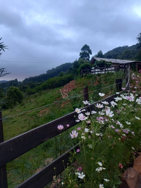 Sítio em Santa Maria do Herval/RS!: 2ª foto da galeria de imagens do imóvel