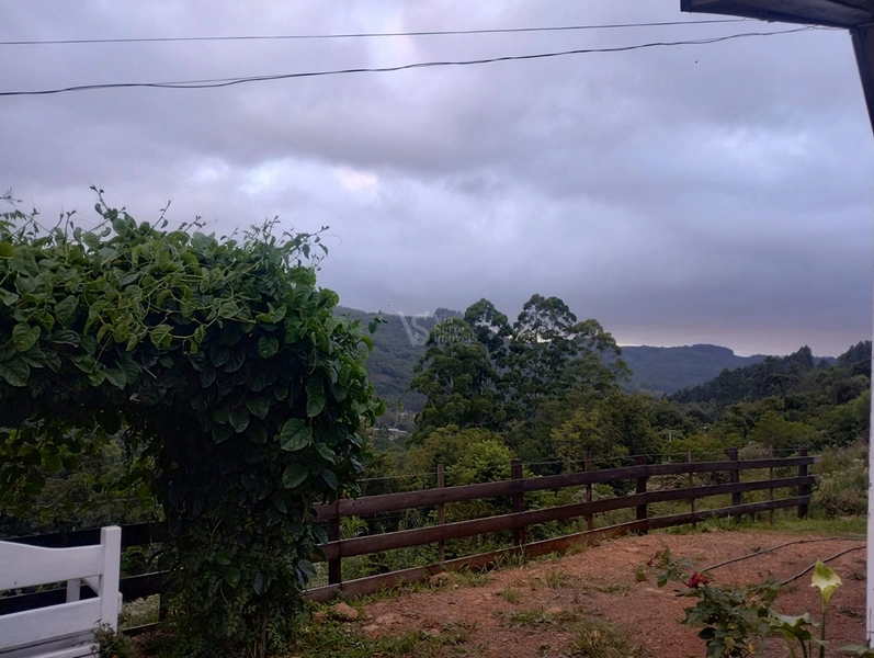 Sítio em Santa Maria do Herval/RS!: 3ª foto da galeria de imagens do imóvel