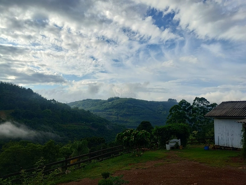 Sítio em Santa Maria do Herval/RS!: 11ª foto da galeria de imagens do imóvel