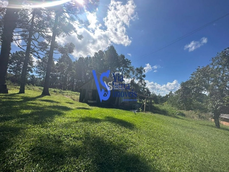 Sítio à venda, em Três Coroas/RS!: 24ª foto da galeria de imagens do imóvel