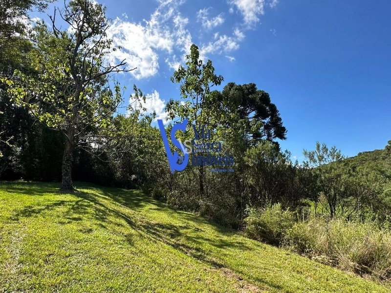 Sítio à venda, em Três Coroas/RS!: 1ª foto da galeria de imagens do imóvel