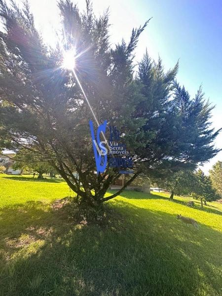 Sítio à venda, em Três Coroas/RS!: 22ª foto da galeria de imagens do imóvel