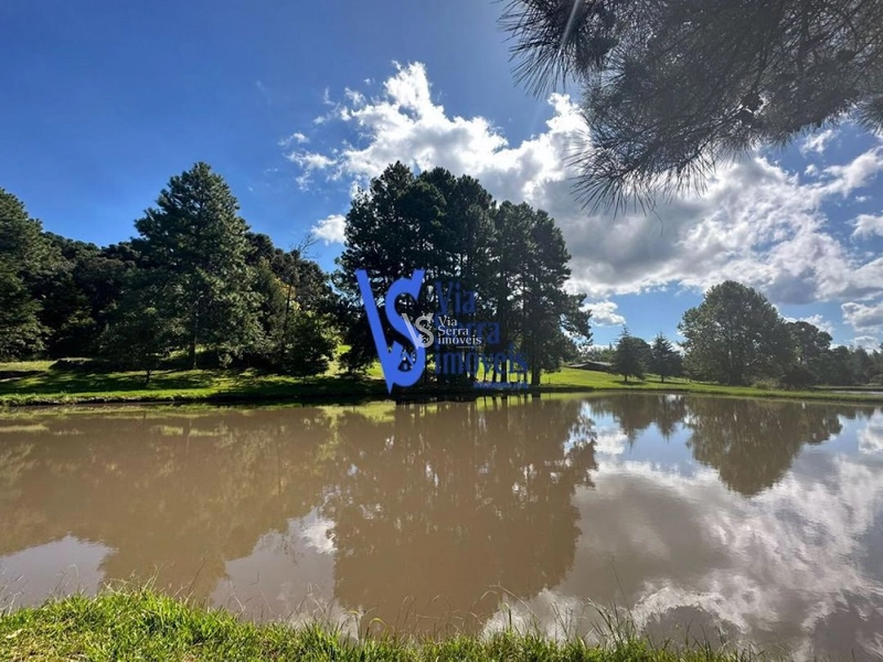 Sítio à venda, em Três Coroas/RS!: 6ª foto da galeria de imagens do imóvel