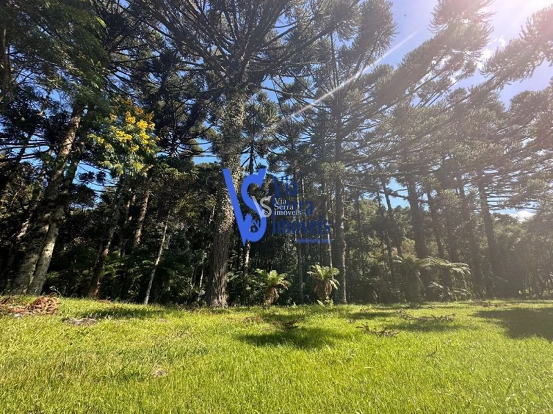 Sítio à venda, em Três Coroas/RS!: 15ª foto da galeria de imagens do imóvel