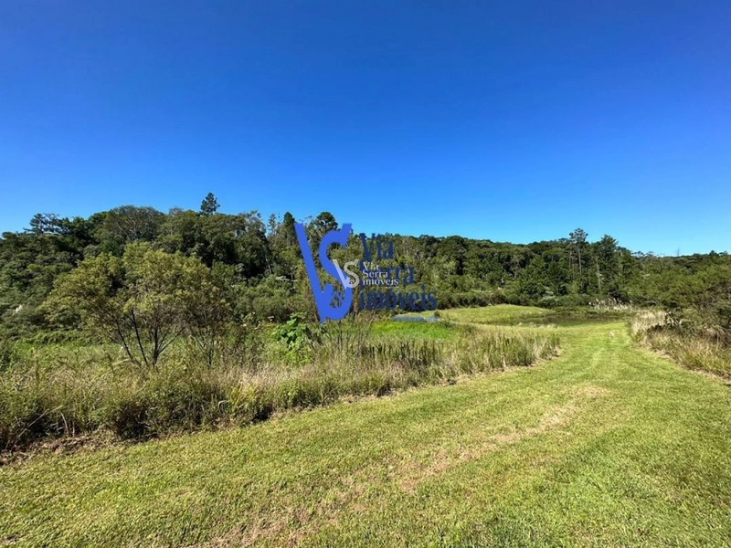 Sítio à venda, em Três Coroas/RS!: 8ª foto da galeria de imagens do imóvel