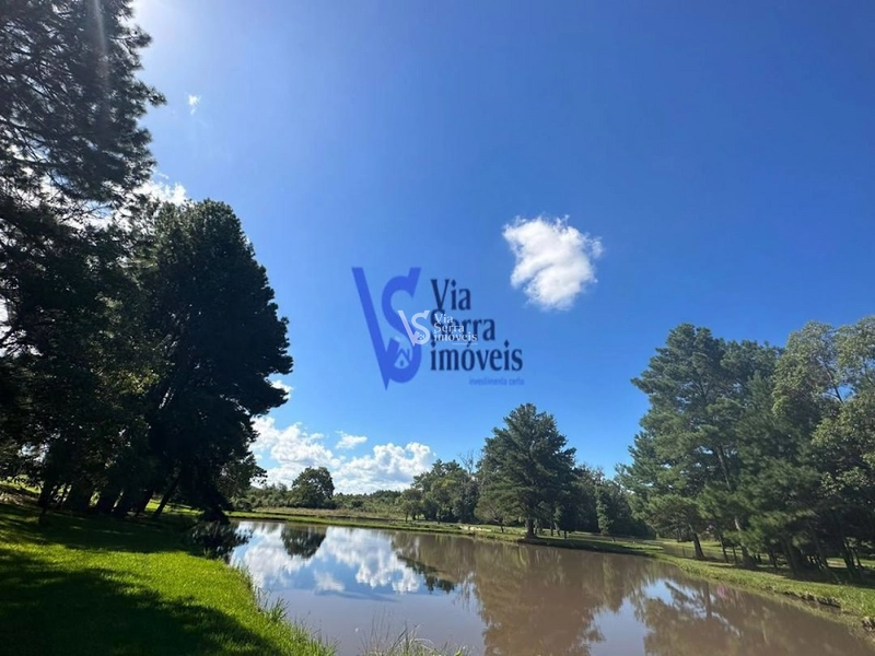 Sítio à venda, em Três Coroas/RS!: 3ª foto da galeria de imagens do imóvel