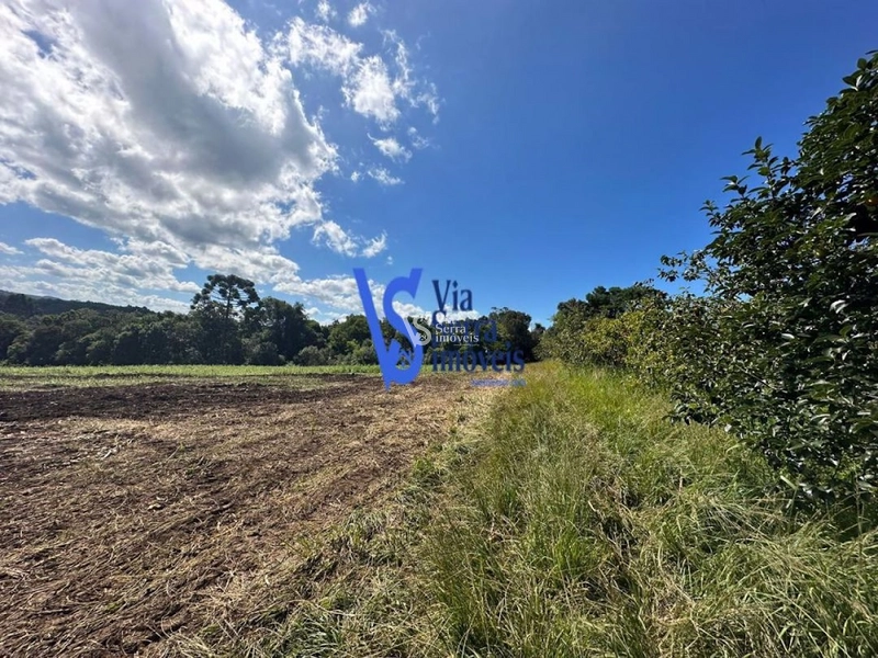 Sítio à venda, em Três Coroas/RS!: 11ª foto da galeria de imagens do imóvel