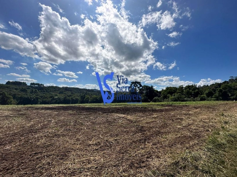 Sítio à venda, em Três Coroas/RS!: 10ª foto da galeria de imagens do imóvel