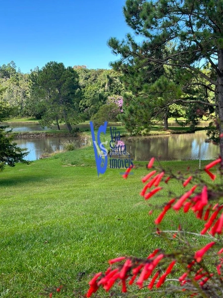 Sítio à venda, em Três Coroas/RS!: 5ª foto da galeria de imagens do imóvel