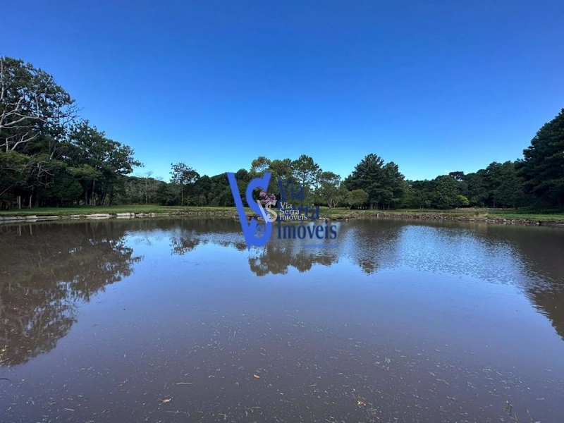 Sítio à venda, em Três Coroas/RS!: 23ª foto da galeria de imagens do imóvel