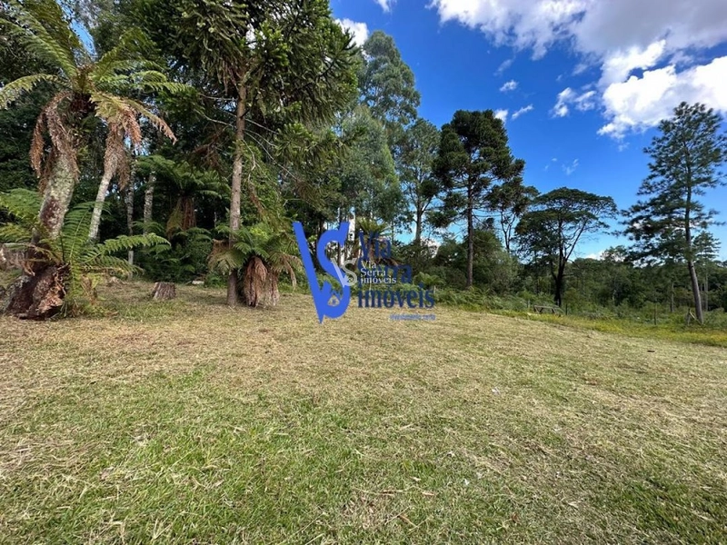 Sítio em São Francisco de Paula/RS!: 7ª foto da galeria de imagens do imóvel