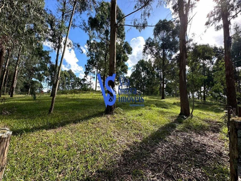 Sítio em São Francisco de Paula/RS!: 5ª foto da galeria de imagens do imóvel