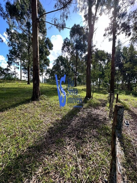 Sítio em São Francisco de Paula/RS!: 3ª foto da galeria de imagens do imóvel