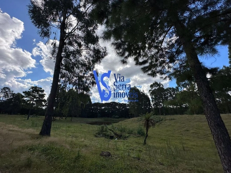 Sítio em São Francisco de Paula/RS!: 28ª foto da galeria de imagens do imóvel