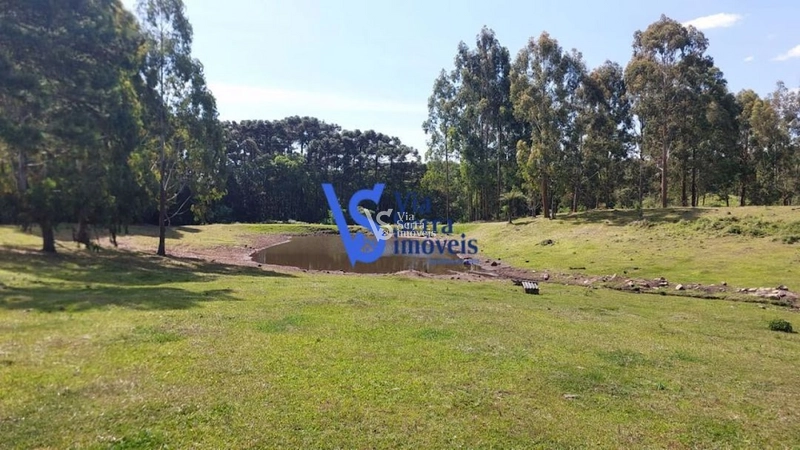 Sítio em São Francisco de Paula/RS!: 9ª foto da galeria de imagens do imóvel